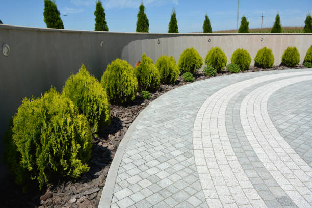 Best Driveway Repair Near Me  in Woodville, MS